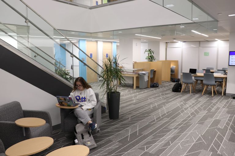 A wide view of the library. In the foreground is a student wearing a Pitt sweatshit, sitting in a chair and wokring on a laptop. In the background are study carrels and tables.