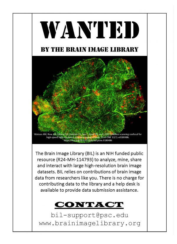 Contributions Wanted:  Brain Imaging Library
