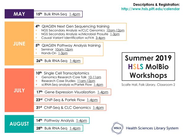 Summer workshop schedule