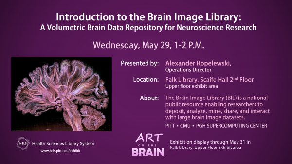 Seminar: Intro to the Brain Image Library