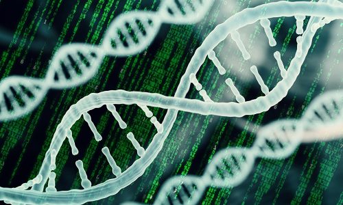 Survey: Bioinformatics at Pitt