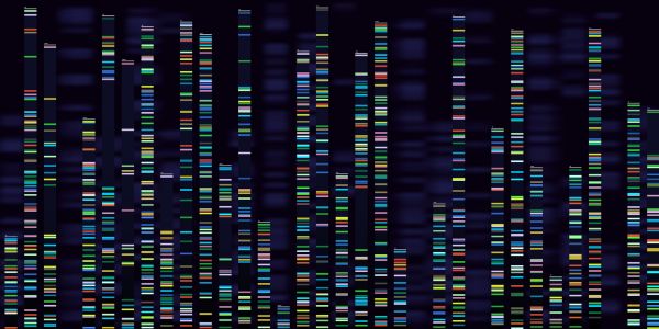 Rendering of genetic sequence