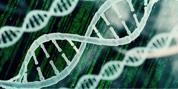 September 12: Bulk RNA-seq data analysis using CLC Genomics Workbench