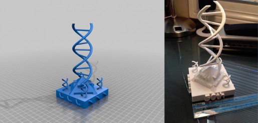 DNA Double Helix design (left) and 3D printed object (right). Image Credit: MakerBot Thingiverse®