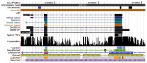 UCSC Genome Browser