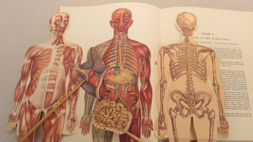 AnatomyAtlas