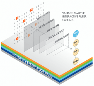 ingenuityvariantanalysis