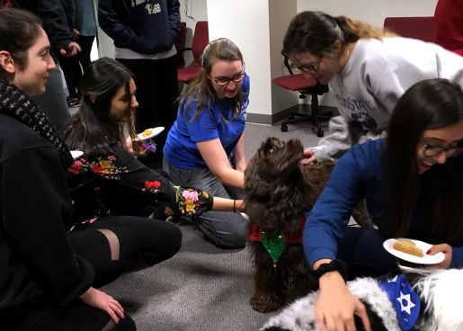 students petting a dog