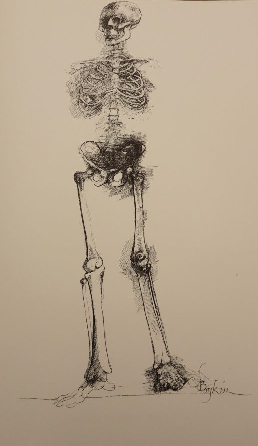 Image of a human skeleton from Leonard Baskin’s Ars Anatomica: a medical fantasia