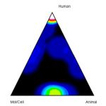 Density plot triangle with points labeled Human, Mol/Cell, and Animal