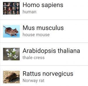 Organisms with datasets: homo sapiens (human), mus musculus (house mouse), Arabidopsis thaliana (thale cress), and Rattus norvegicus (Norway rat)