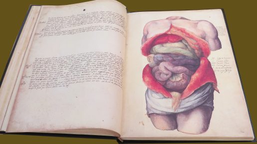 Anatomia Depicta lays open to a page with blocks of handwritten text and a large illustration of a torso sliced open to reveal internal organs.