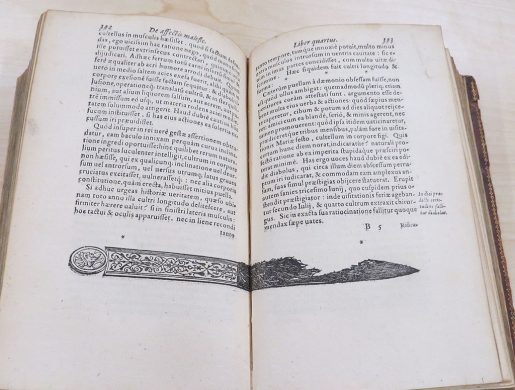 Closeup of book lying open on a table. Text is written in Dutch. Small decorative vignette at the bottom of the page.