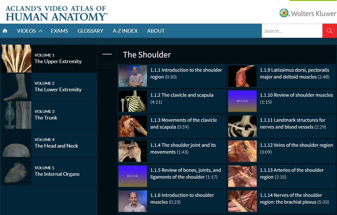 Screenshot of the Acland's library, with lists of video thumbnails by subject.