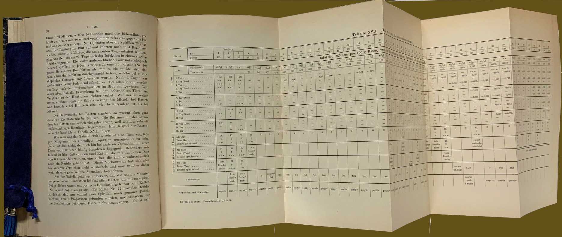 A fully extended foldout page from Erlich's book, depicting a table of data, with text in German